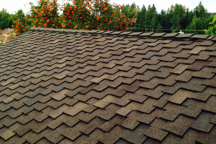 Close-up of new asphalt shingles on a roof, showcasing quality roofing materials used in Kent