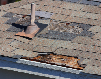 Damaged shingles that need professional repair on a Bonney Lake roof