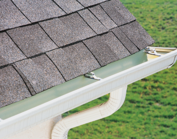 Clean gutters and roof shingles on a well-maintained Puyallup house